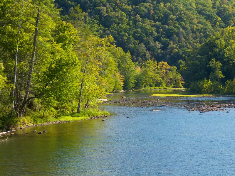 Autumn in Greenbrier